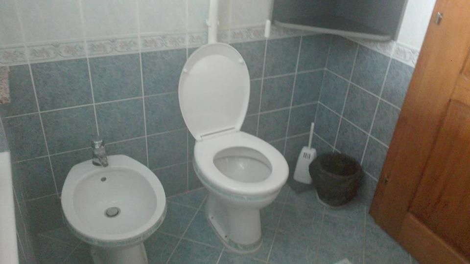 Domacinstvo Opavski Backi Petrovac Zewnętrze zdjęcie